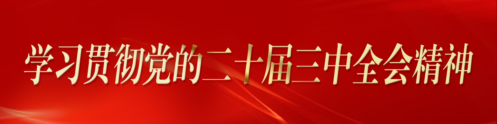 黨的二十屆三中全會精神專欄